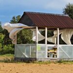 gazebo in high wind